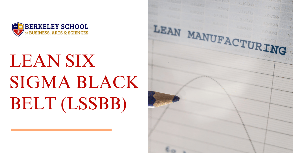 Lean Master Black Belt (LMBB)