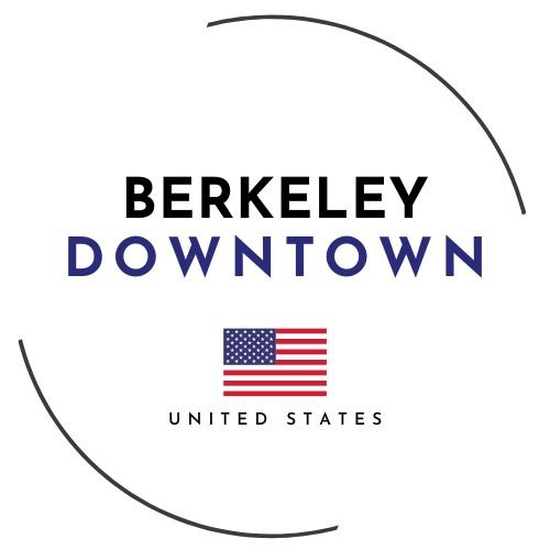 BERKELEY SCHOOL OF BUSINESS, ARTS & SCIENCES Icon