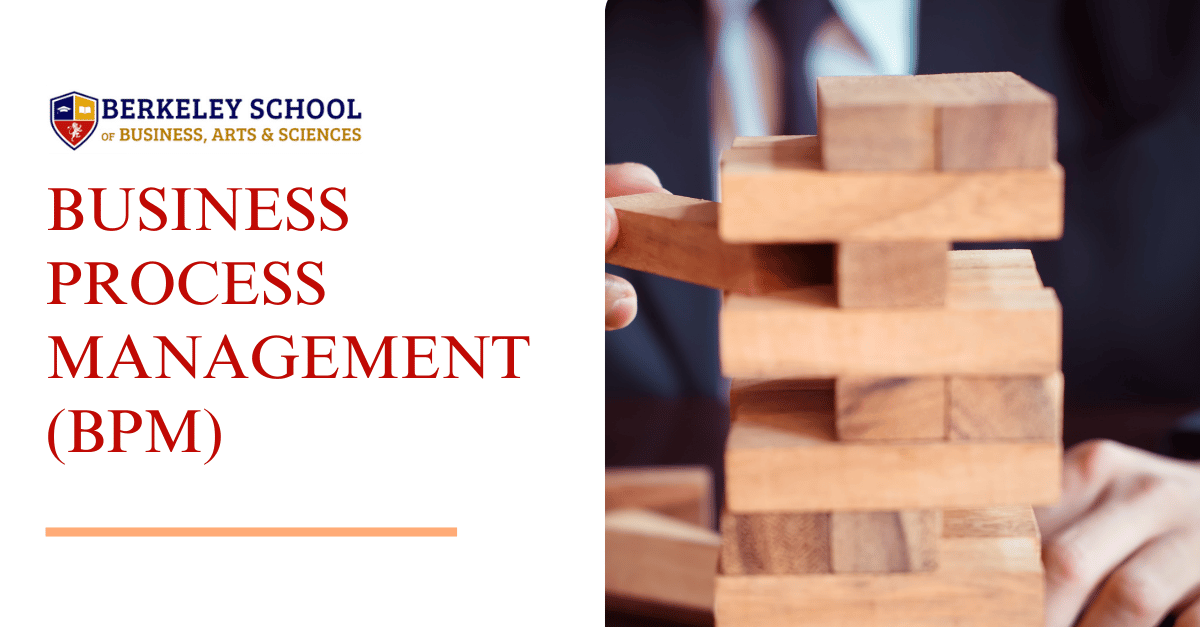 BERKELEY SCHOOL OF BUSINESS, ARTS & SCIENCES - Business Process ...