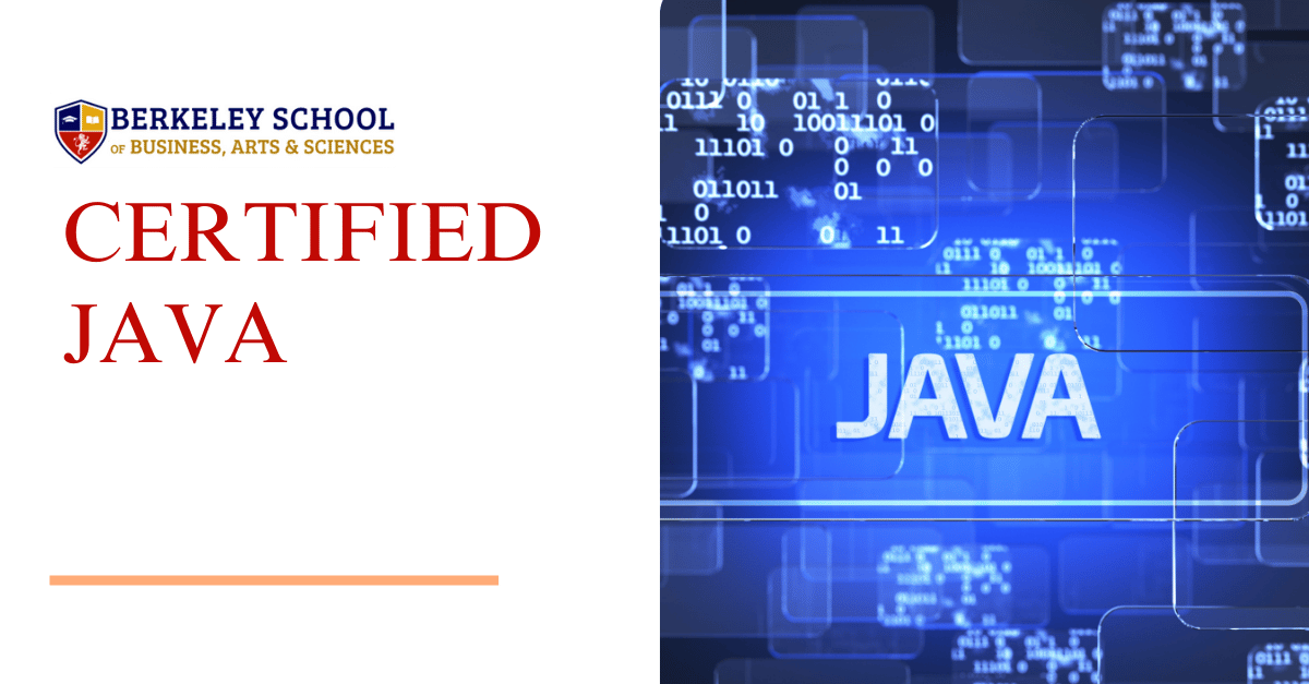 BERKELEY SCHOOL OF BUSINESS, ARTS & SCIENCES - Certified Java Developer ...